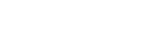 Logo-Cyberseg-Blanco-1